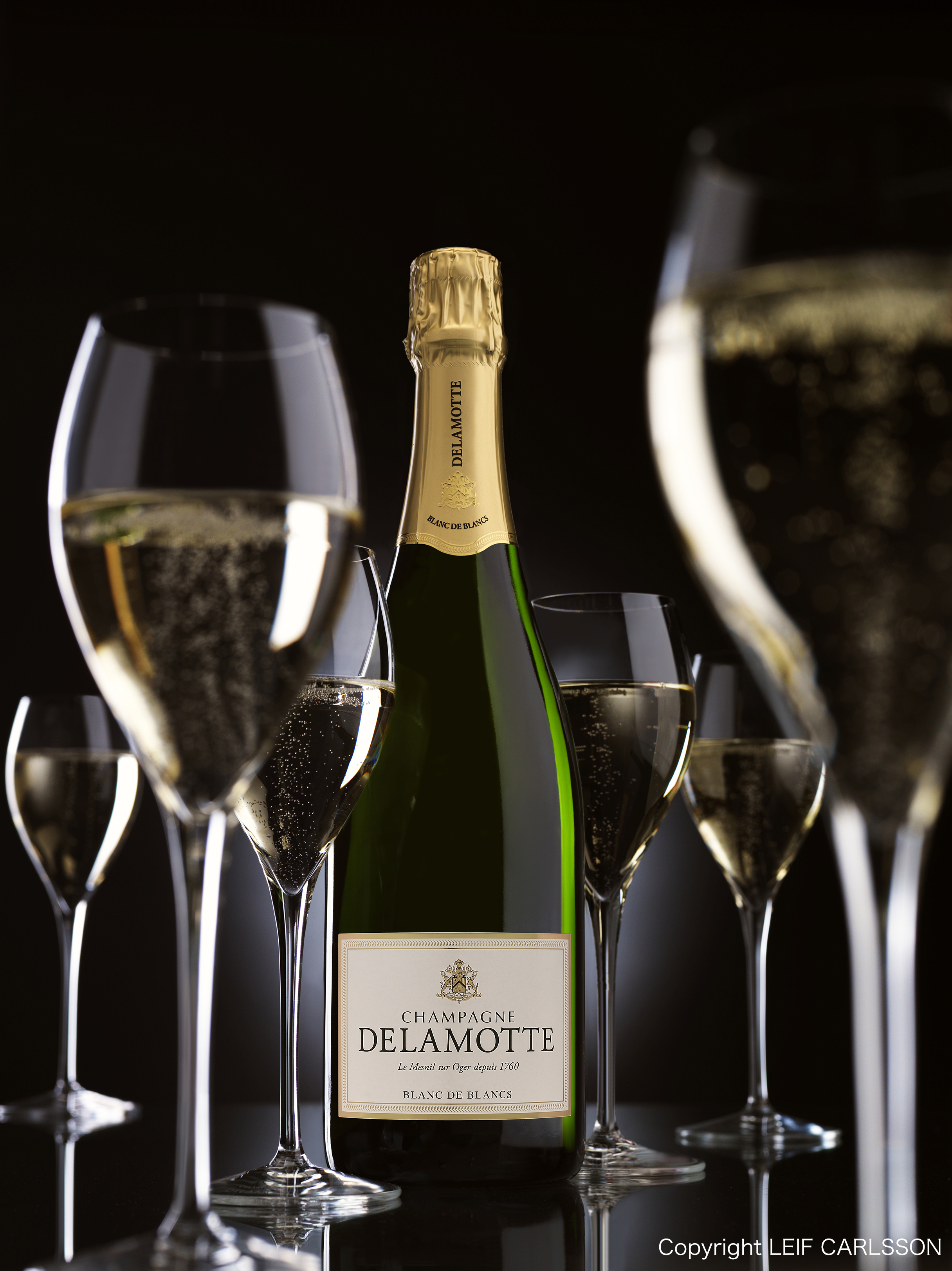 関連画像ダウンロード | Champagne DELAMOTTE